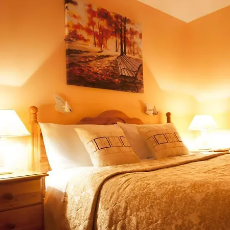 Mccarthy'S Lodge B&B Konukevi Westport