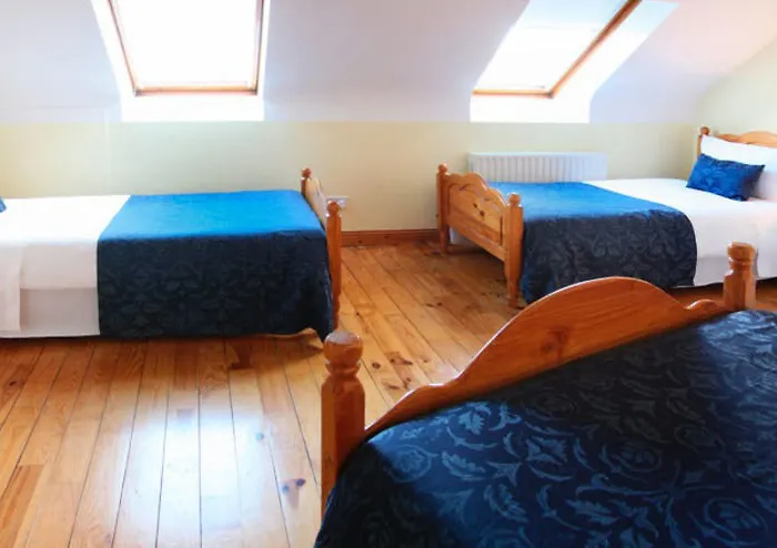 Mccarthy'S Lodge B&B Penzion *