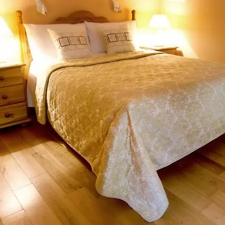 Guest house Mccarthy'S Lodge B&B Westport