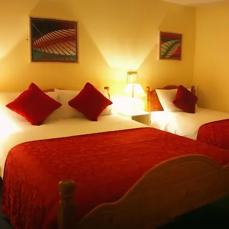 Guest house Mccarthy'S Lodge B&B